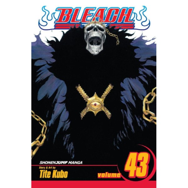 Viz Bleach Vol. 43 Paperback Manga