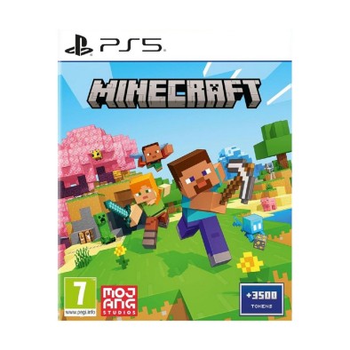 PS5 Minecraft