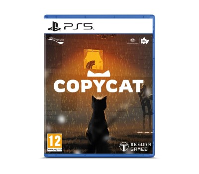 PS5 Copycat