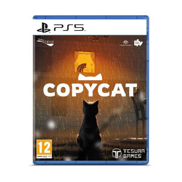 PS5 Copycat